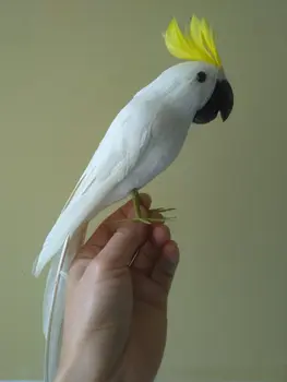 Drăguț simulare alb papagal model spuma si blanuri cacadu model de jucărie cadou aproximativ 32cm 2843
