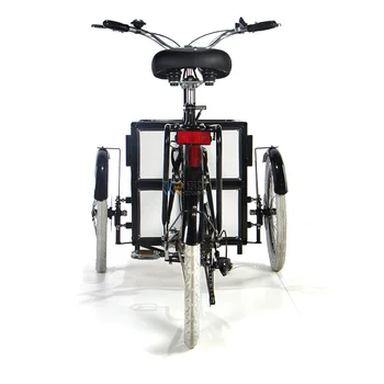 3 Electric Trike Adult Cargo Bicicleta Tricicleta Familie de Biciclete pentru Copii animale de Companie Transporta Bicicletele CE a Aprobat